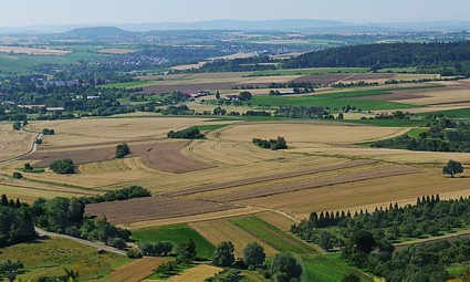 Još tri godine stranci neće moći kupovati poljoprivredno zemljište u Hrvatskoj