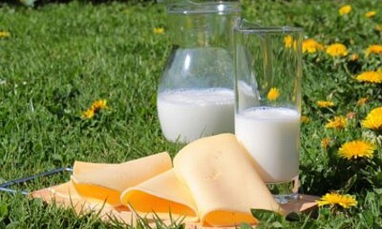 Važnost mlijeka i mliječnih proizvoda kao globalne hrane