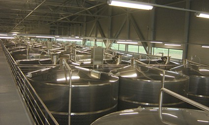 Ogromne inoks-bačve u vinariji Vina Belje