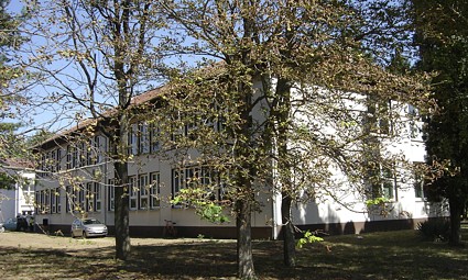 Osnovna škola u Čemincu (arhivski snimak iz 2012. godine)