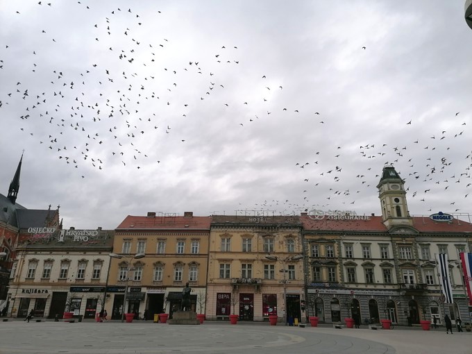 Golubovi u letu: Osijek, Trg Ante Starčevića