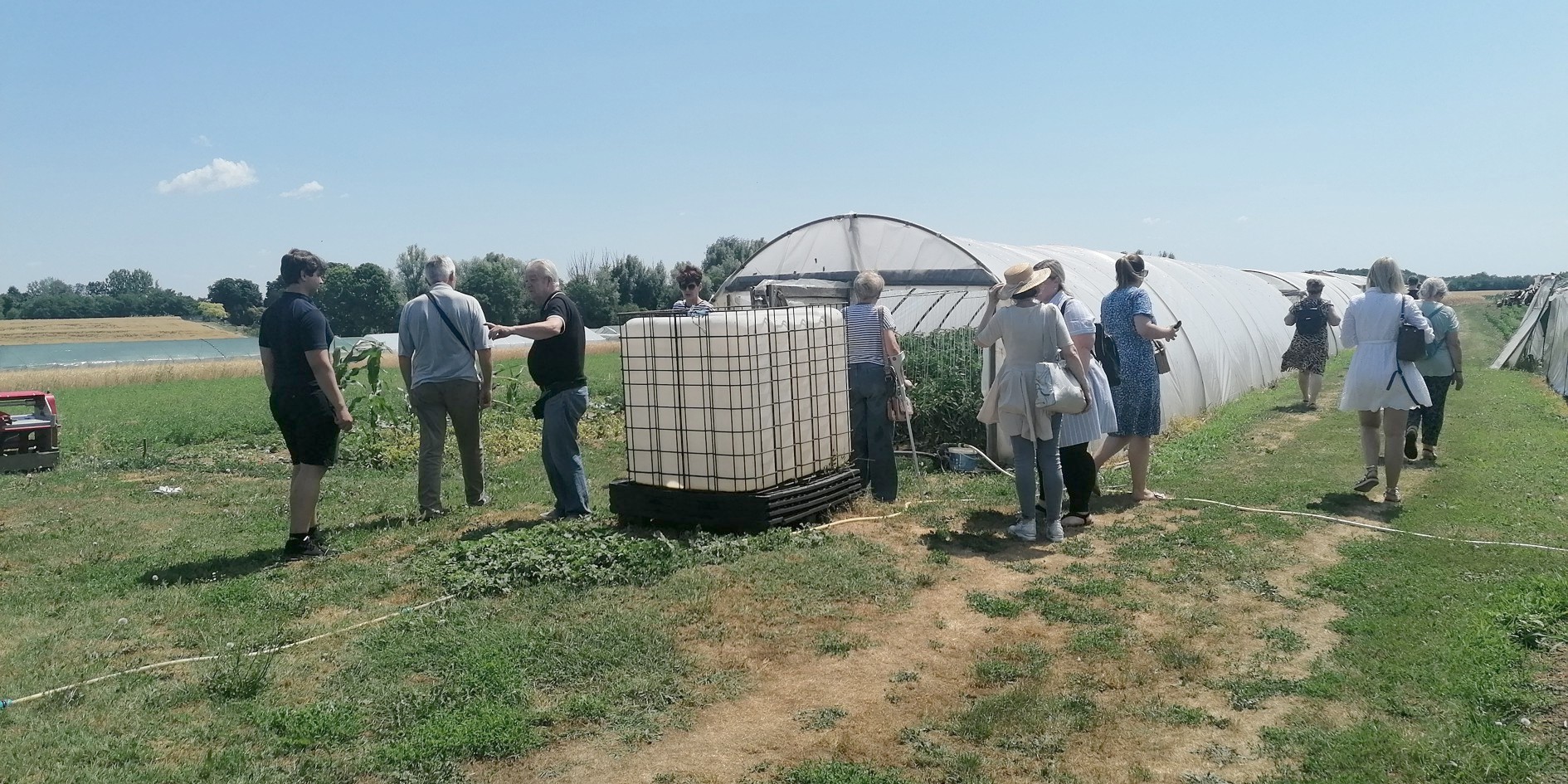 OPG Horvat Viktor, proizvodnja začinske paprike